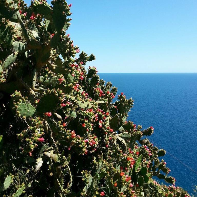 Hotel St. Leonard Forio di Ischia Exterior foto